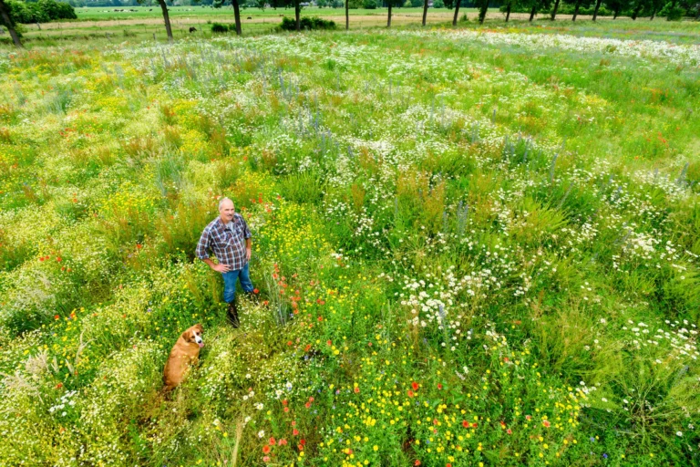 Bloemstroken en pachter/boer