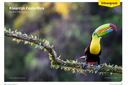 Artikel Martin van Lokven over Costa Rica in Nikon Club Nederland magazine.