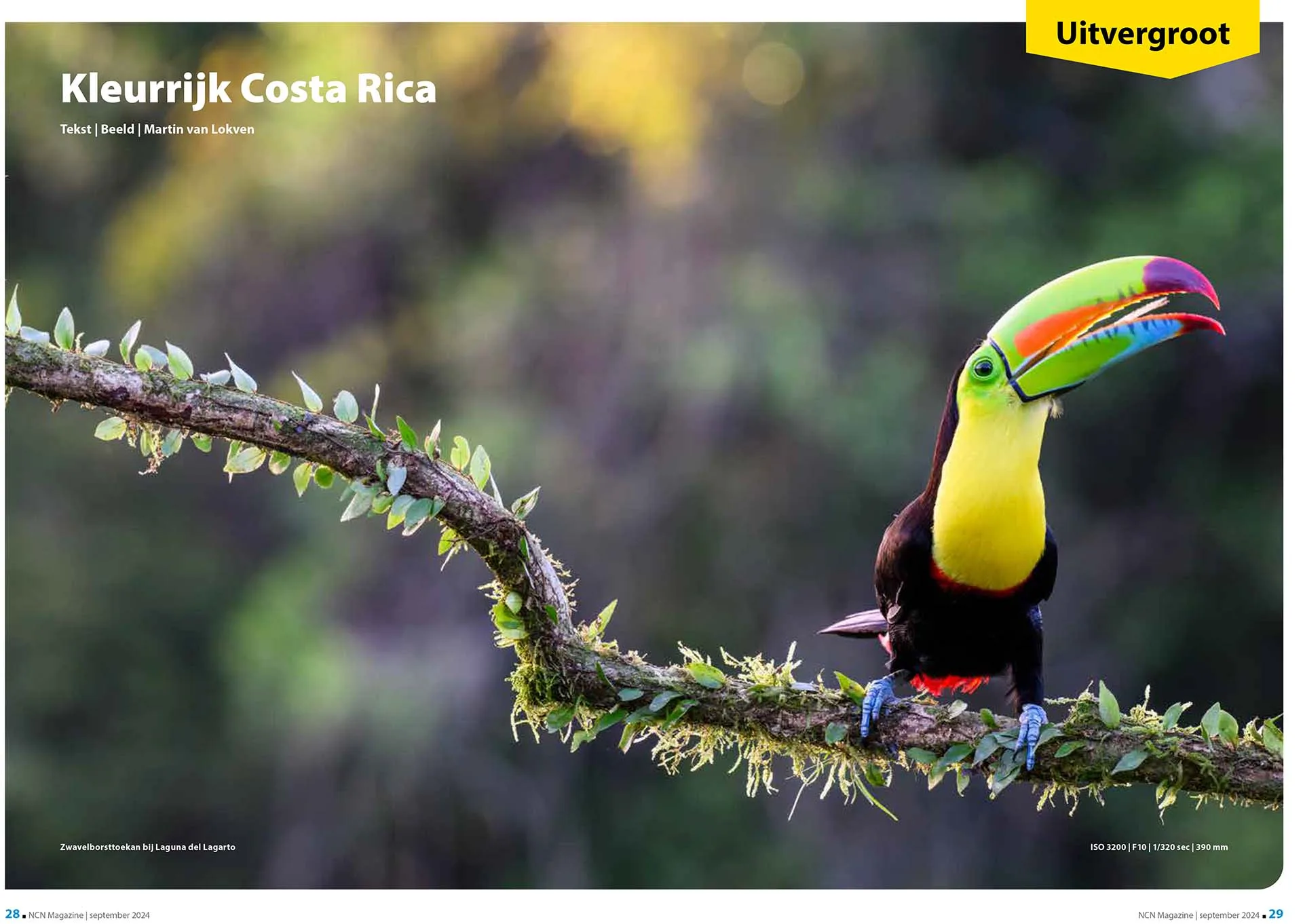 Artikel over wildlife in Costa Rica in Nikon Club Nederland Magazine.