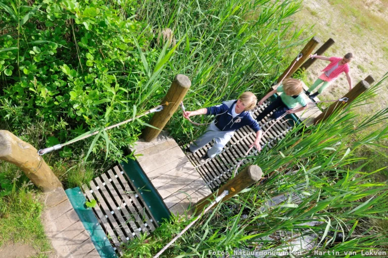 Spelende kindeern op bruggetje in natuur