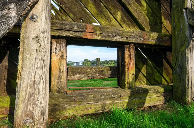 Oude houten sluisdeur