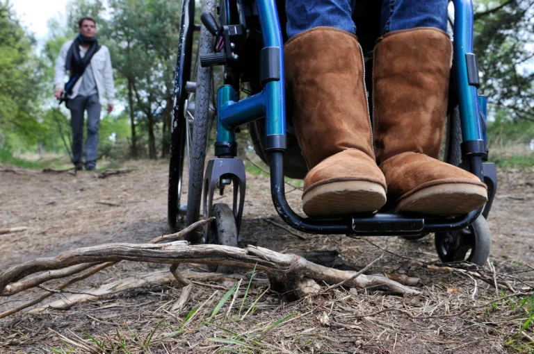 Rolstoel voor tak op pad in natuurgebied.