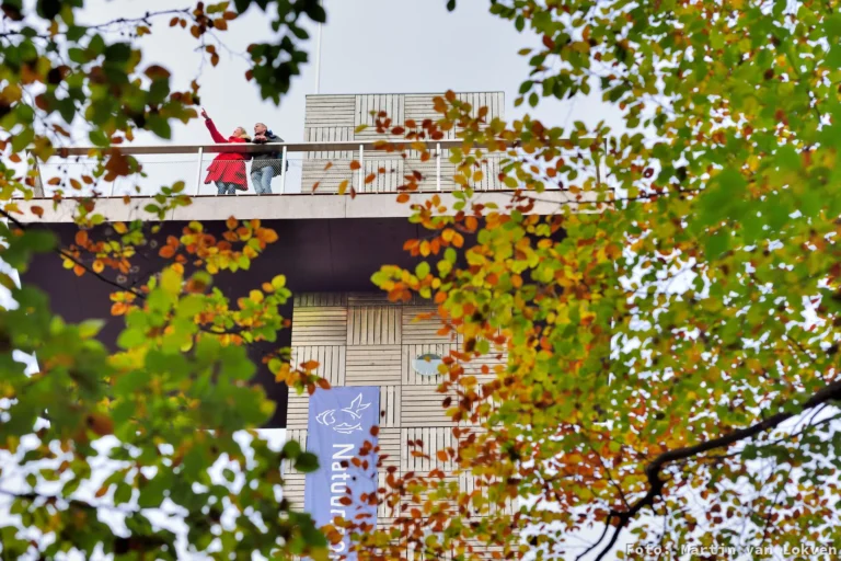 Mensen op uitkijktoren Kaapse Bossen