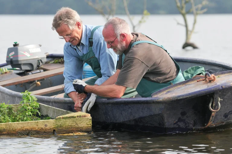 Uitzetten van nestvlotjes vanuit een roeiboot