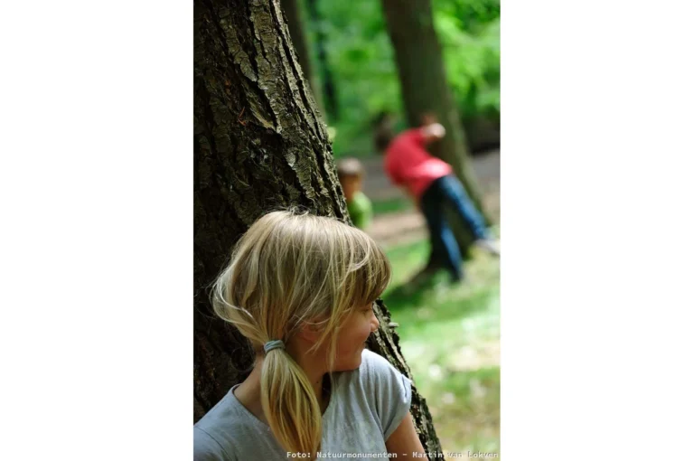 Verstoppertje spelen in het bos