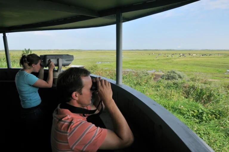 Mensen met verrekijkers in vogelkijkhut