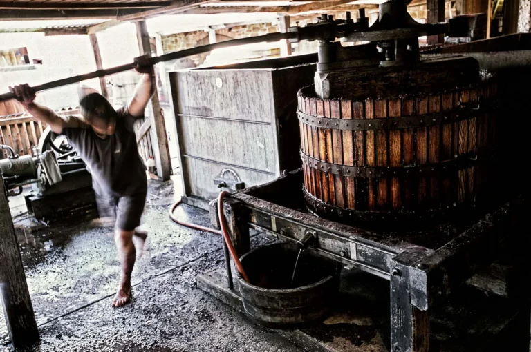 An old winery basket press demonstration.